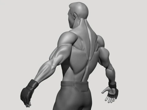Stylized MMA Fighter 3D Model