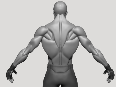 Stylized MMA Fighter 3D Model