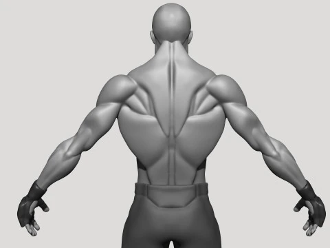 Stylized MMA Fighter 3D Model