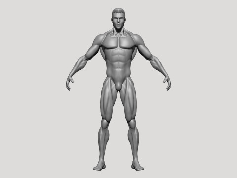 Stylized MMA Fighter 3D Model