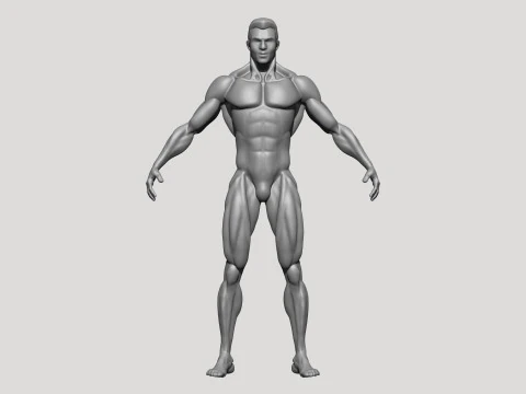 Stylized MMA Fighter 3D Model