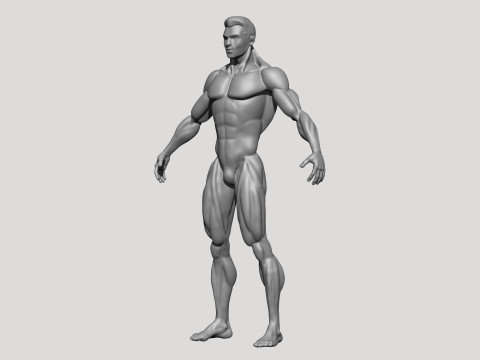 Stylized MMA Fighter 3D Model
