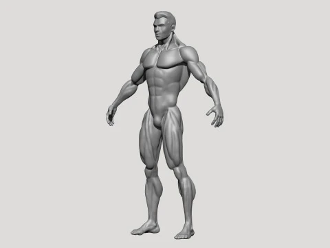 Stylized MMA Fighter 3D Model