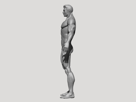 Stylized MMA Fighter 3D Model
