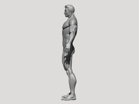 Stylized MMA Fighter 3D Model