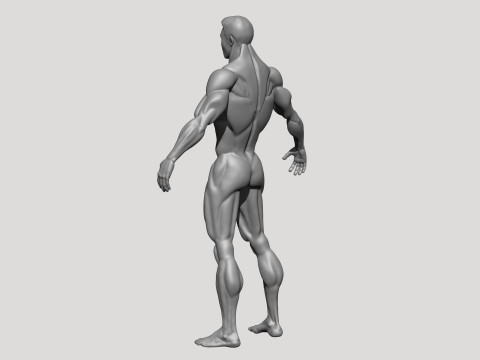 Stylized MMA Fighter 3D Model