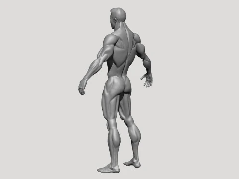 Stylized MMA Fighter 3D Model