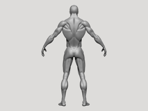 Stylized MMA Fighter 3D Model
