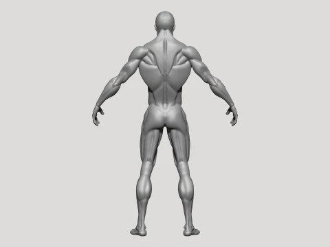 Stylized MMA Fighter 3D Model