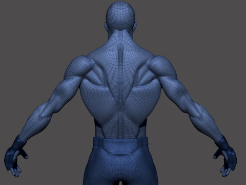 Stylized MMA Fighter 3D Model