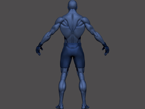 Stylized MMA Fighter 3D Model