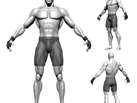 Stylized MMA Fighter 3D Model