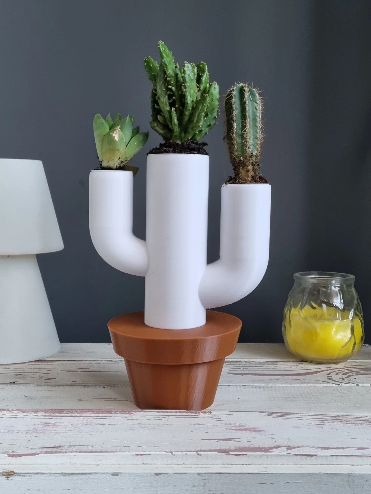 Cactus pot 3D Print Model .c4d .max .obj .3ds .fbx .stl .blend 