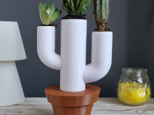 Cactus pot 3D 打印模型