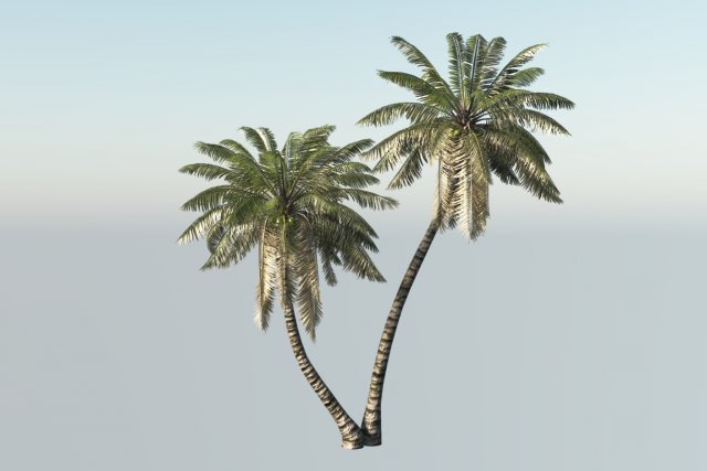 A palm with animation Modello 3D .c4d .max .obj .3ds .fbx .stl .blend 