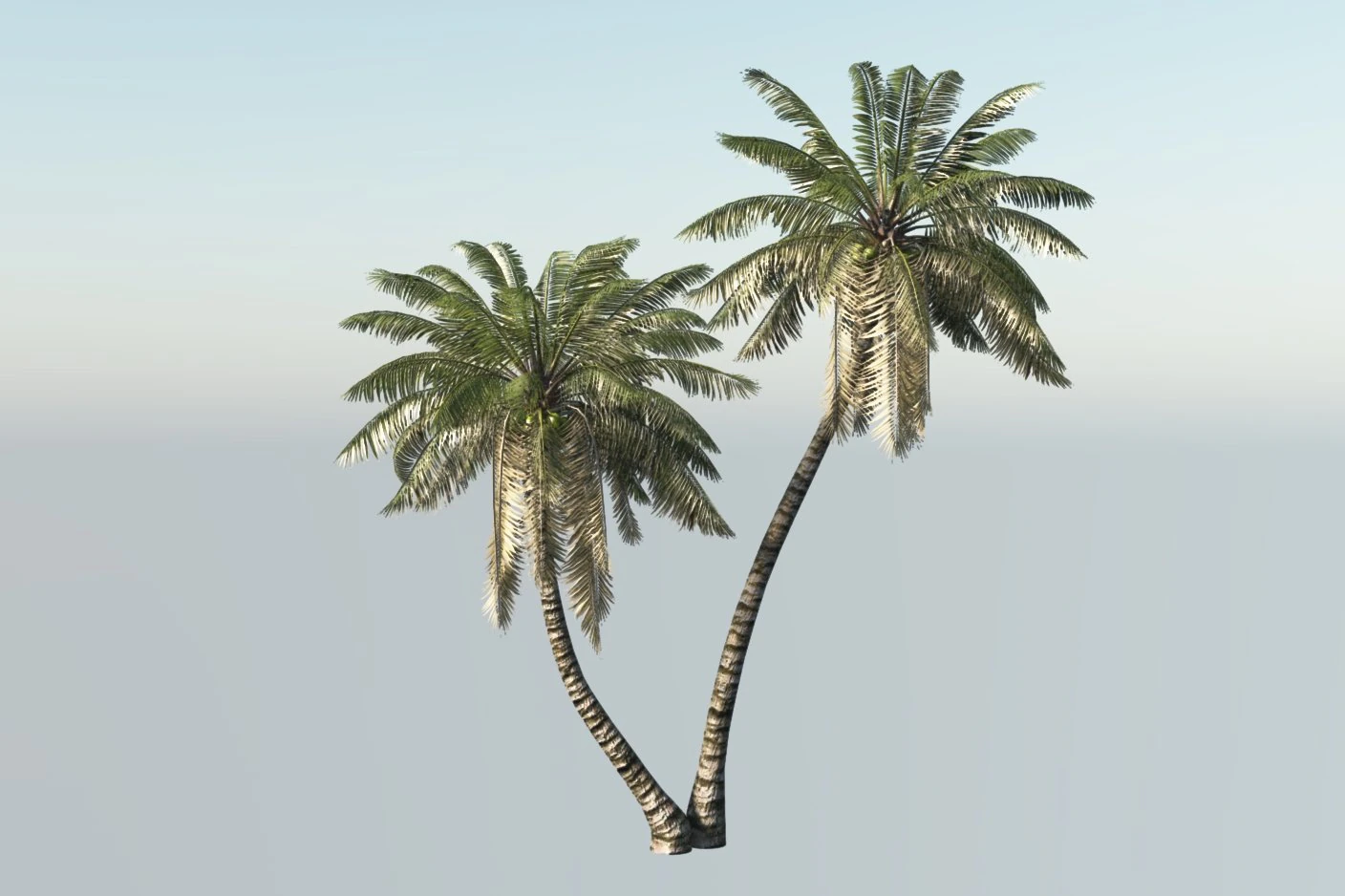 A palm with animation 3D Model .c4d .max .obj .3ds .fbx .stl .blend 