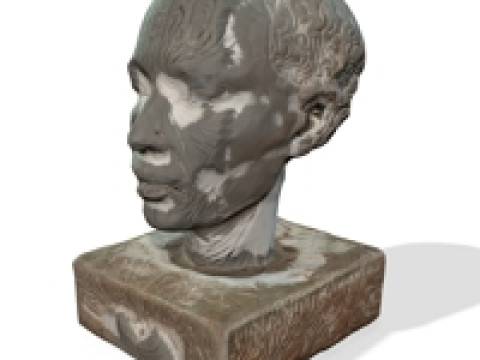 Sculpture of a Head 3D 模型