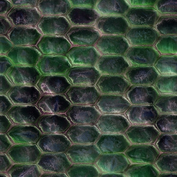 Realistic Seamless Snake Skin Texture in High Definition CG Текстуры .c4d .max .obj .3ds .fbx .stl .blend