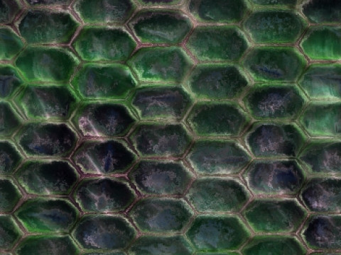 Realistic Seamless Snake Skin Texture in High Definition CG Текстури
