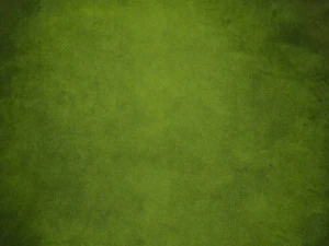 SU-100 ZSRR Model 3D