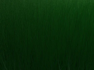 Glass ball 3D Model