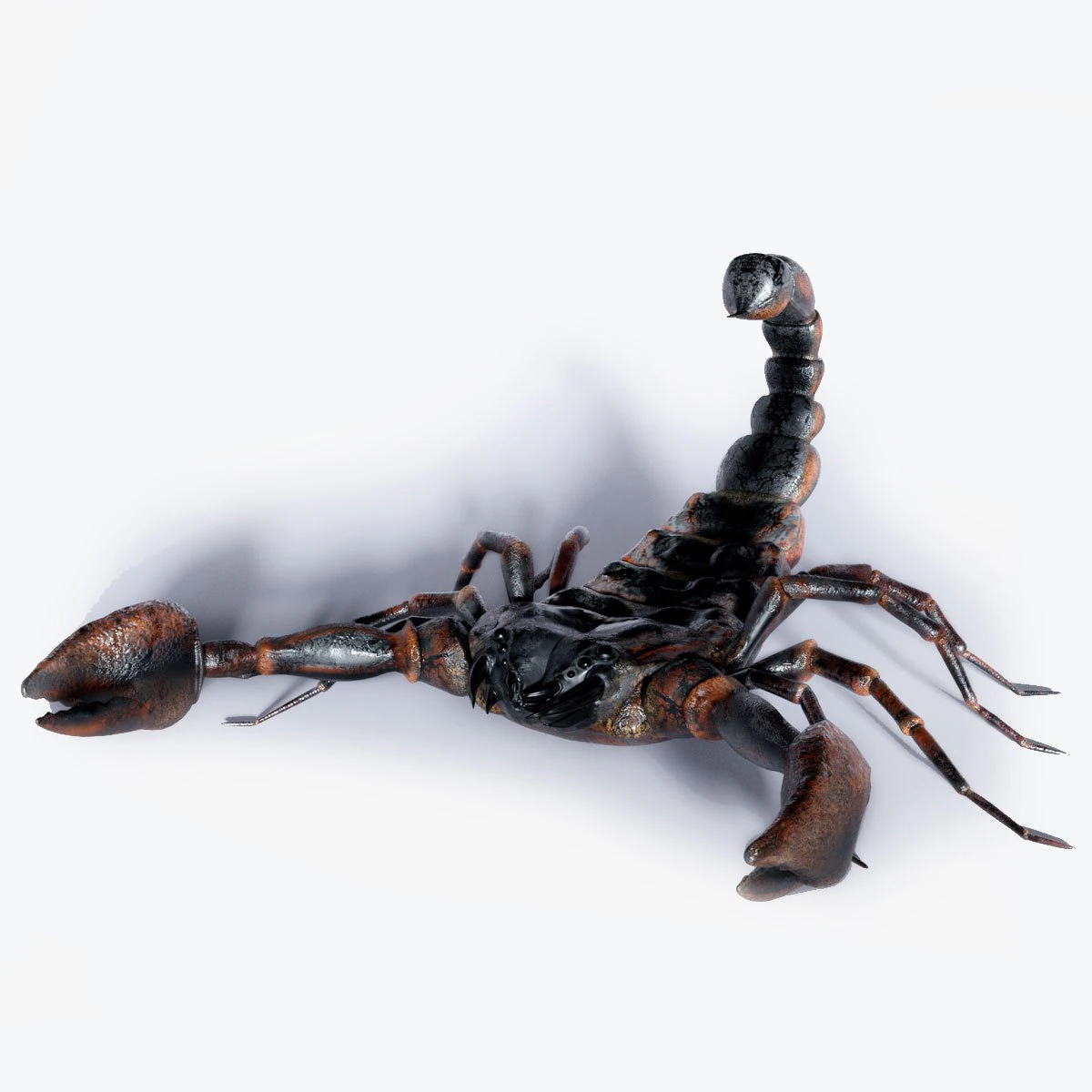 Scorpion 3D Model .c4d .max .obj .3ds .fbx .stl .blend 
