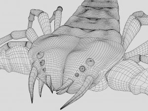 Scorpion 3D Model