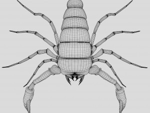 Scorpion 3D 模型