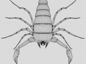 Scorpion 3D Model