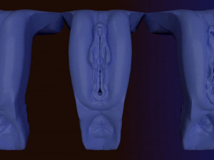 Vagina Pack 010 3D Model