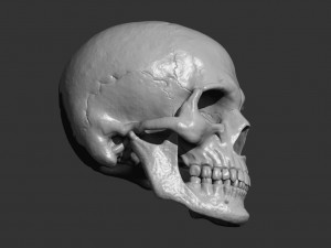 Scull 3D Принт Модель
