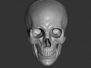 Scull 3D Принт Модель