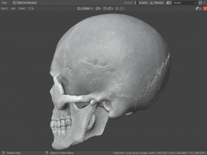 Scull 3D Принт Модель