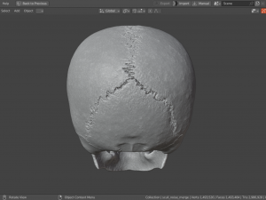 Scull 3D Принт Модель