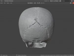 Scull 3D Print Model