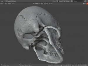 Scull 3D Print Model