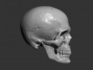 Scull 3D Принт Модель