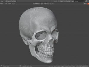 Scull 3D Принт Модель