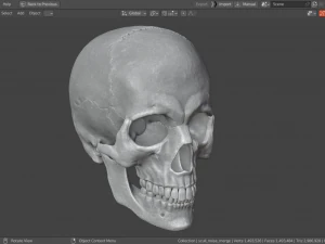 Scull 3D Print Model
