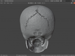 Scull 3D Принт Модель