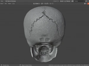 Scull 3D Print Model