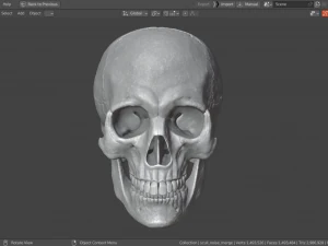 Scull 3D Print Model