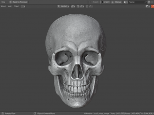 Scull 3D Принт Модель
