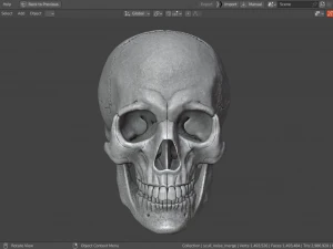Scull 3D Print Model