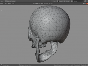 Scull 3D Модель