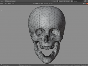 Scull 3D Модель