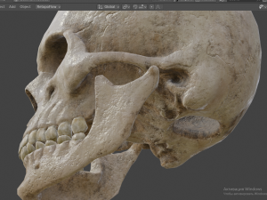 Scull 3D Модель