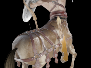 Centaur Warrior Model 3D