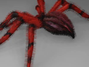 SPIDER LOW MODEL 3D Model