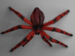 SPIDER LOW MODEL 3D-Modell